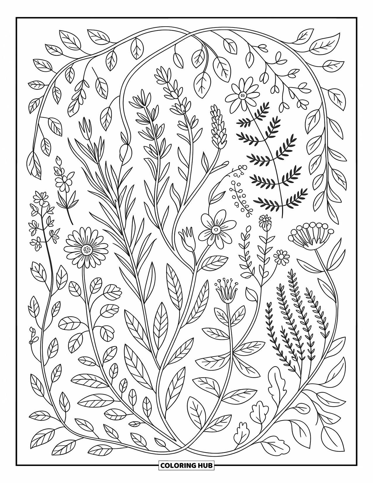Pattern Coloring Page for Adults: Botanical herbs, vines, and blossoms spiral around roots in a circular, leafy design