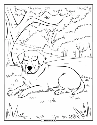Desenho de animais de estimação para colorir para adultos: Um cachorro relaxado descansa no parque sob uma árvore com mais árvores ao fundo