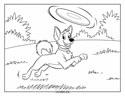 Desenho de animais de estimação para colorir para crianças: Um cachorro animado pula para pegar um frisbee voando por um campo ensolarado