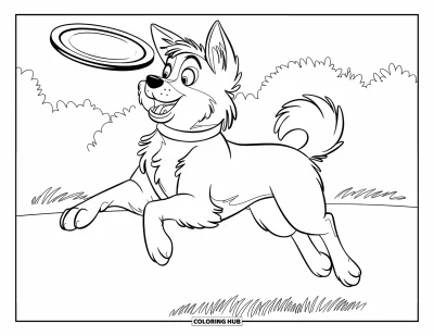 Desenho de animais de estimação para colorir para crianças: Um cachorro fofo pula por um campo gramado perseguindo um frisbee