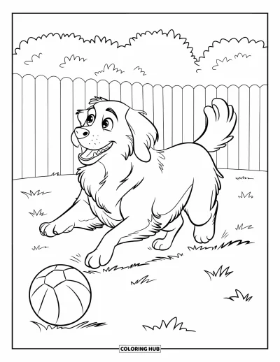 Desenho de animais de estimação para colorir para crianças: Um golden retriever corre ofegante atrás de uma bola no gramado