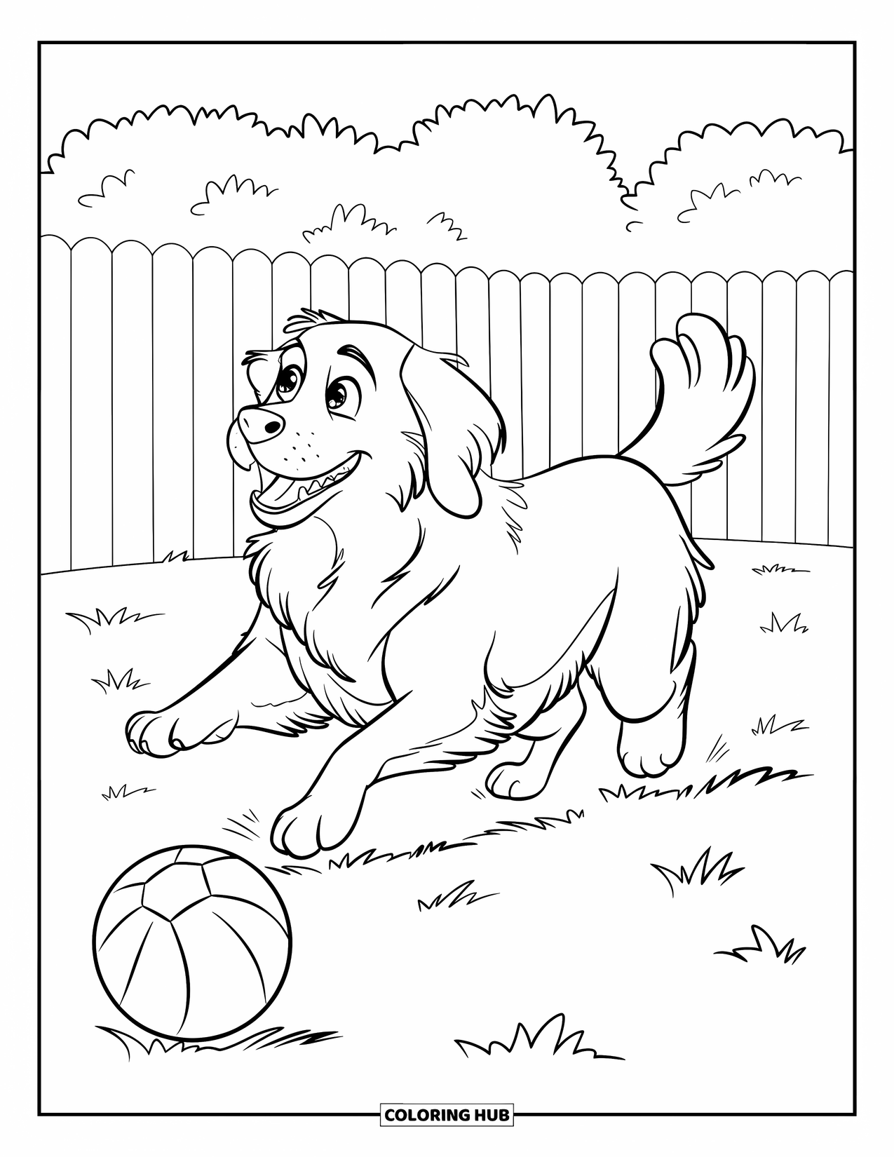 Pet Coloring Page for Kids: A golden retriever pants while running after a ball on the lawn