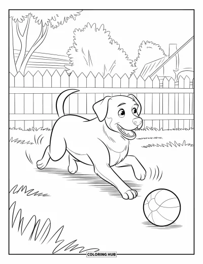 Desenho de animais de estimação para colorir para crianças: Um labrador corre atrás de uma bola perto de árvores e uma cerca