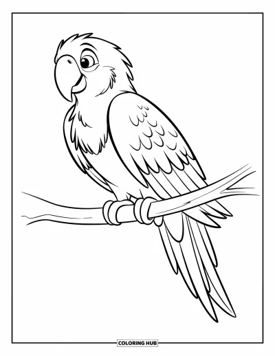 Desenho de animais de estimação para colorir para crianças: Um papagaio de bico amarelo pousa em um galho delicado