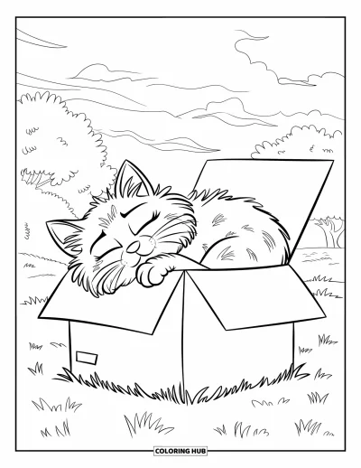 Desenho de animais de estimação para colorir para crianças: Um gato sonolento repousa dentro de uma caixa em um campo gramado