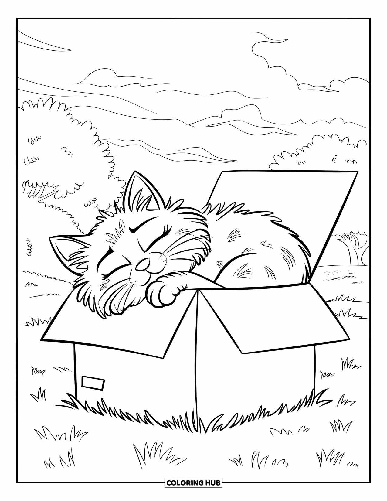 Pet Coloring Page for Kids: A sleepy cat rests inside a box on a grassy field