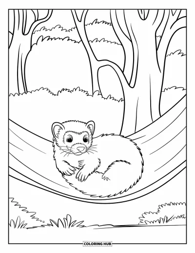Desenho de animais de estimação para colorir para crianças: Um furão sonolento se enrola confortavelmente em uma rede aconchegante