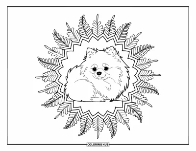 Coloriage de poméranien pour adultes : Un chien duveteux dort dans un mandala de marguerites avec des contours nets sur fond blanc