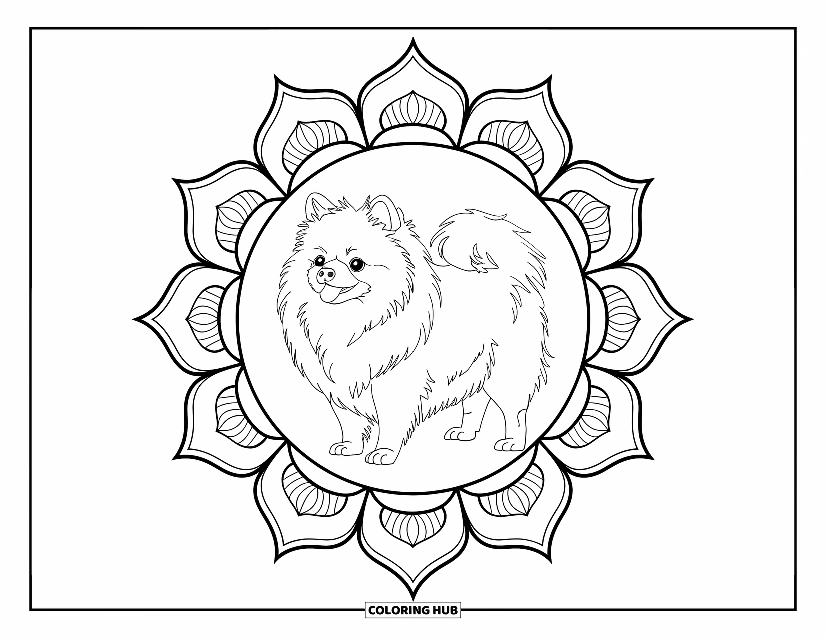 Pomeranian Coloring Page for Adults: Fluffy dog stands in the center of a floral petal mandala