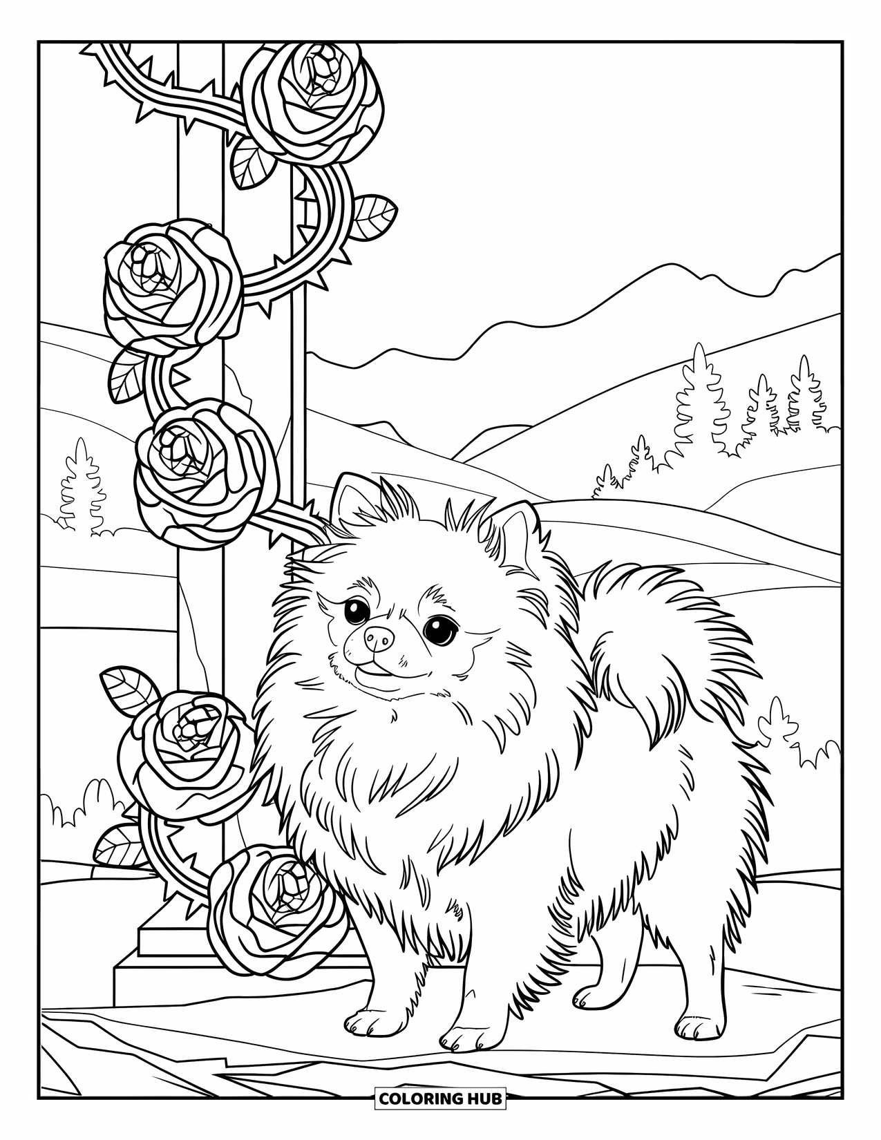 Pomeranian Coloring Page for Adults: Fluffy Pomeranian is surrounded by rose vines and mountain landscape