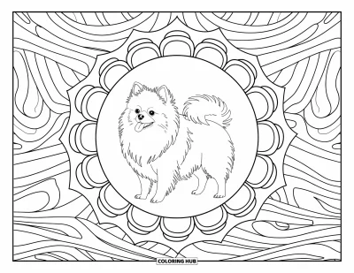 Coloriage de poméranien pour adultes : Un Poméranien pose dans un cadre mandala avec des motifs tourbillonnants en arrière-plan