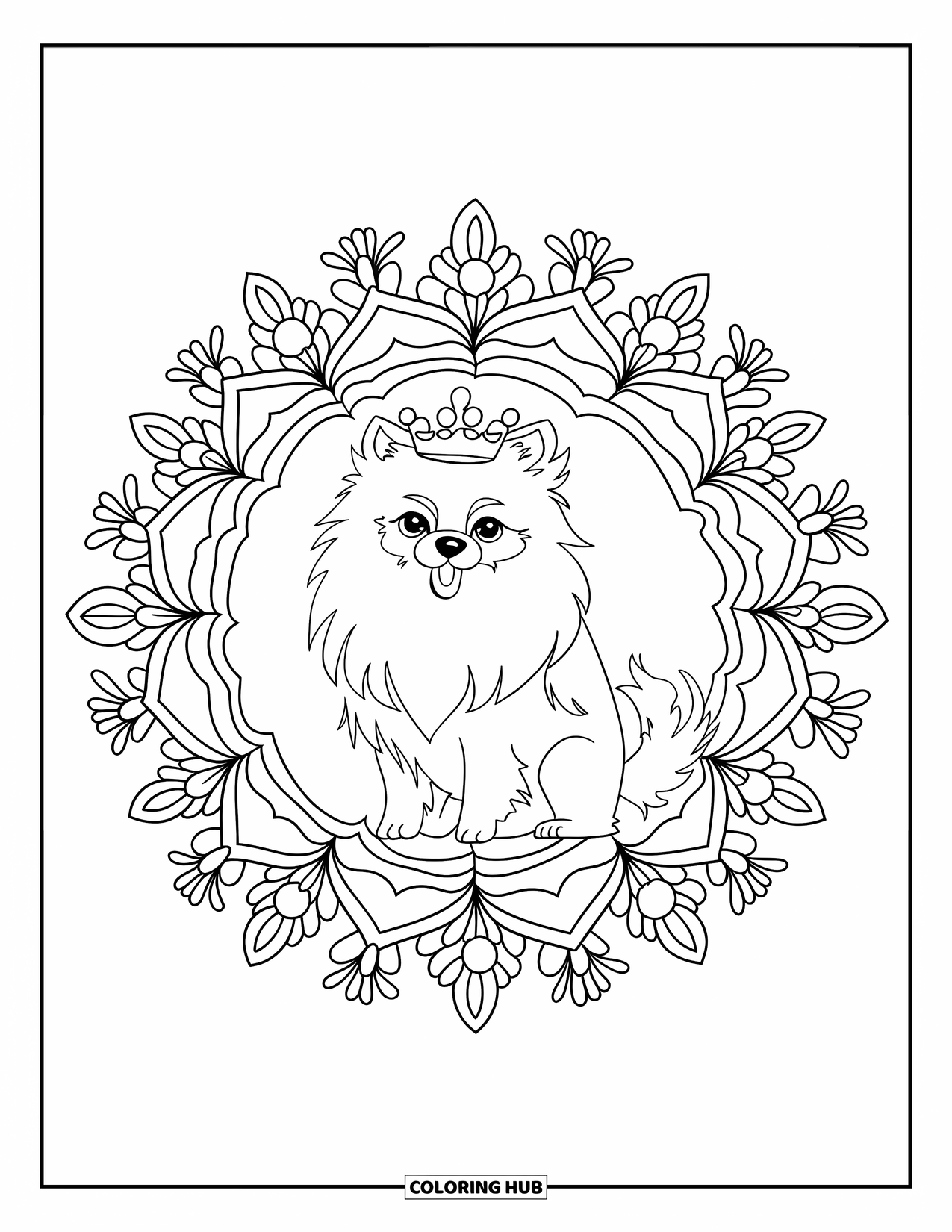 Pomeranian Coloring Page for Adults: Regal Pomeranian with a crown sits at the center of a floral mandala