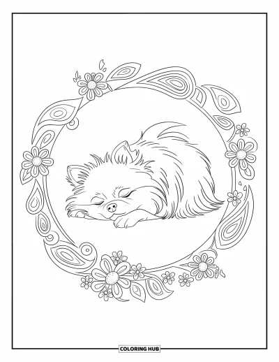 Coloriage de poméranien pour adultes : Un Poméranien endormi est entouré de motifs cachemire et de fleurs épanouies