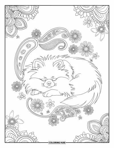 Coloriage de poméranien pour adultes : Un Poméranien endormi repose au centre de motifs tourbillonnants de fleurs et de cachemires