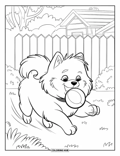 Coloriage de poméranien pour enfants : Un Poméranien enthousiaste court avec une balle dans la gueule à travers le jardin