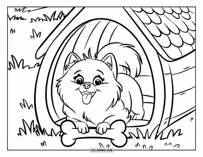 Coloriage de poméranien pour enfants : Un Poméranien tout excité est assis dans sa niche avec la langue dehors et les yeux grands ouverts