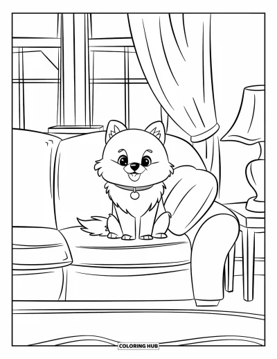 Coloriage de poméranien pour enfants : Un Poméranien tout duveteux est assis sur un canapé avec un coussin moelleux et une expression adorable