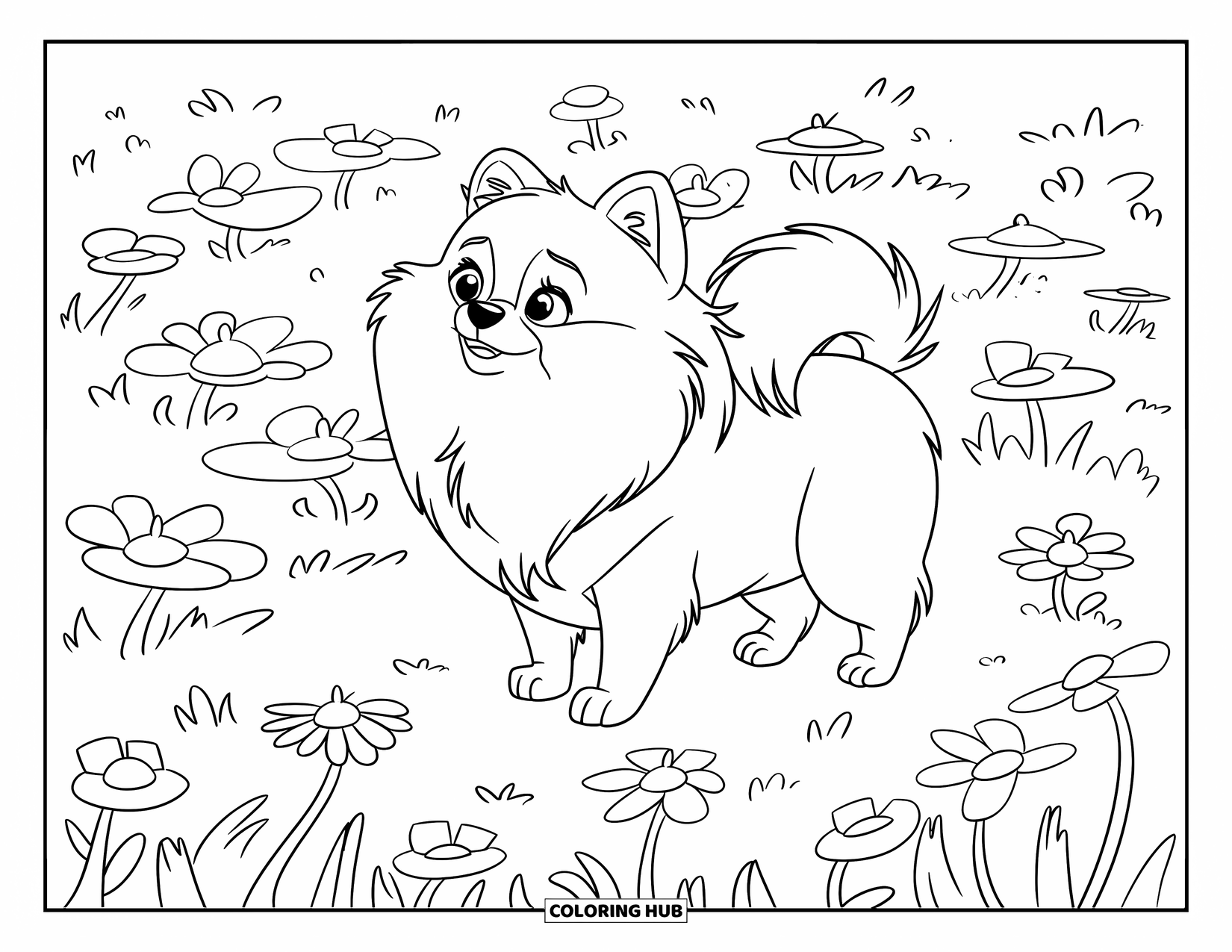 Pomeranian Coloring Page for Kids: Fluffy Pomeranian stands in a flower field, wearing a collar