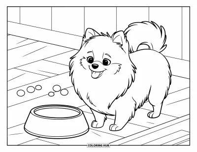 Coloriage de poméranien pour enfants : Un Poméranien duveteux remue la queue à côté d'une gamelle vide sur le sol