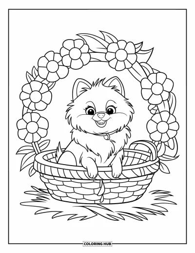 Coloriage de poméranien pour enfants : Un Poméranien duveteux avec un collier rose est assis dans un panier rempli de fleurs