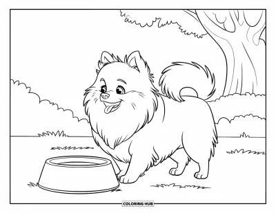 Coloriage de poméranien pour enfants : Un joyeux Poméranien se tient près d'une gamelle sous un ciel nuageux