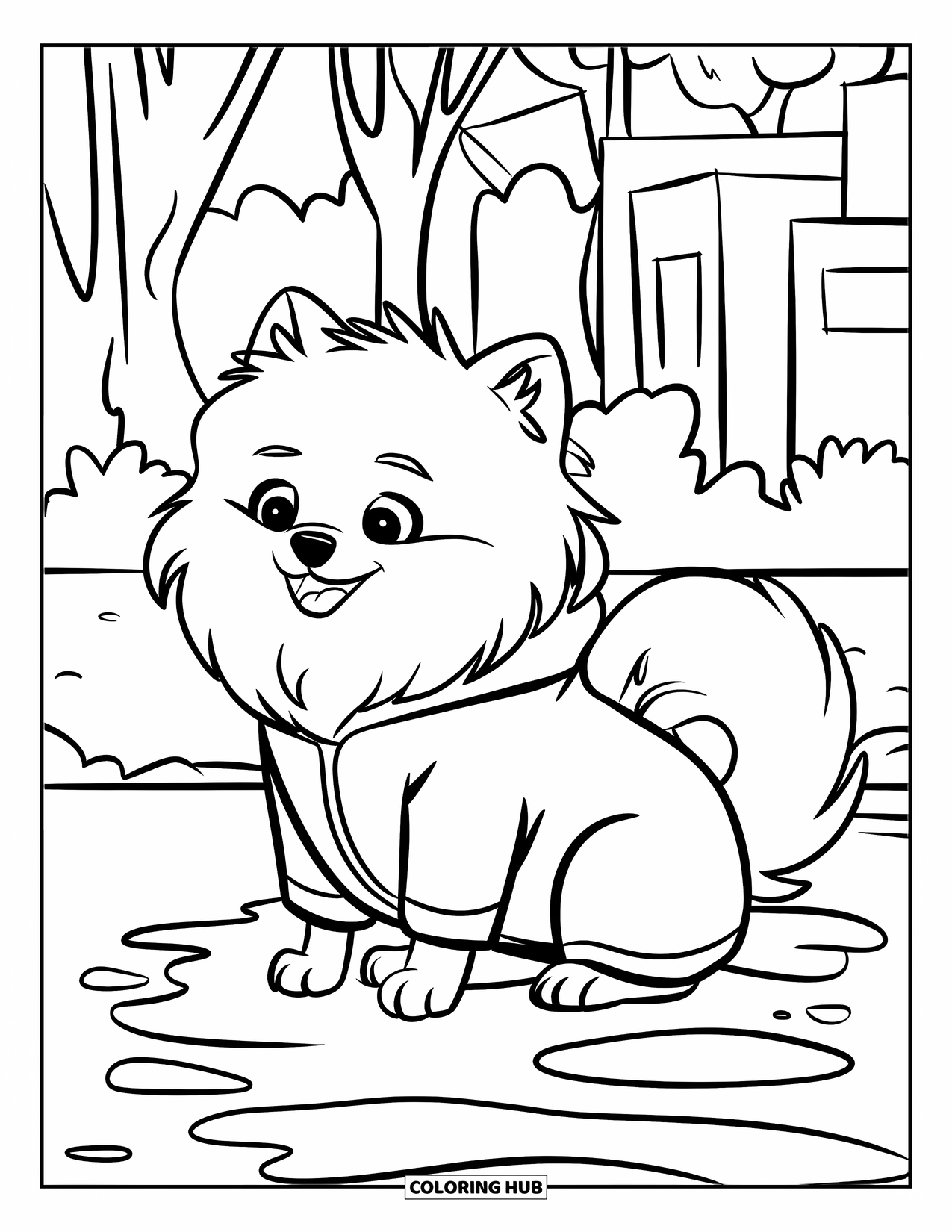 Pomeranian Coloring Page for Kids: Pomeranian in a hooded raincoat rests near a puddle on a rainy walk
