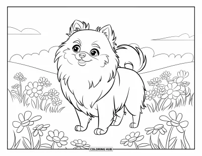 80+ Coloriages de poméranien pour enfants et adultes (Gratuits)