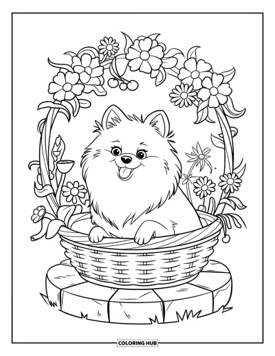 Coloriage de poméranien pour enfants : Un Poméranien se repose dans un panier fleuri avec des contours nets et simples