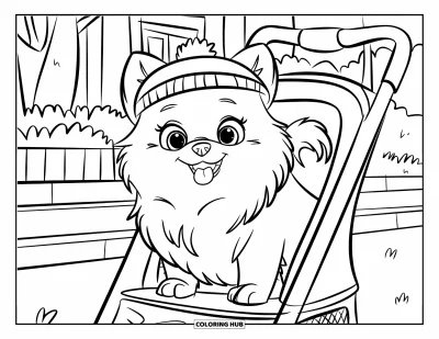 Coloriage de poméranien pour enfants : Un Poméranien assis dans une poussette porte un chapeau mignon lors d'une promenade ensoleillée