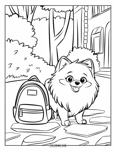 Coloriage de poméranien pour enfants : Un Poméranien se tient à côté d'un sac à dos sur un chemin de pierre près d'un bâtiment