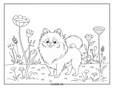 Coloriage de poméranien pour enfants : Un Poméranien curieux se tient dans un champ de fleurs épanouies