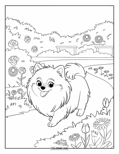 Coloriage de poméranien pour enfants : Un Poméranien longe des tulipes, des roses et des marguerites dans un jardin en pleine floraison