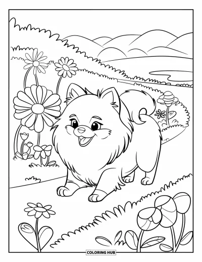 Coloriage de poméranien pour enfants : Un Poméranien longe un sentier de jardin entouré de fleurs et de montagnes