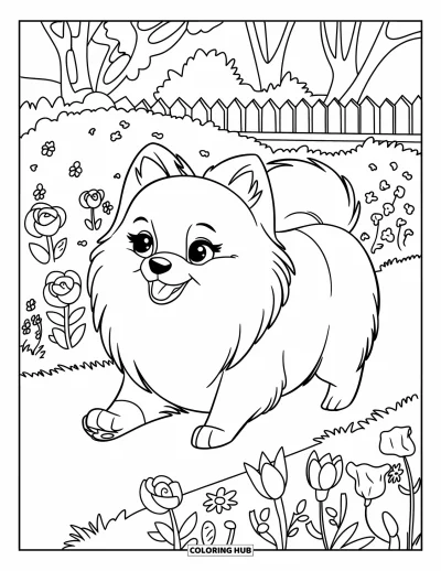 Coloriage de poméranien pour enfants : Un Poméranien traverse un jardin coloré rempli de nombreuses fleurs