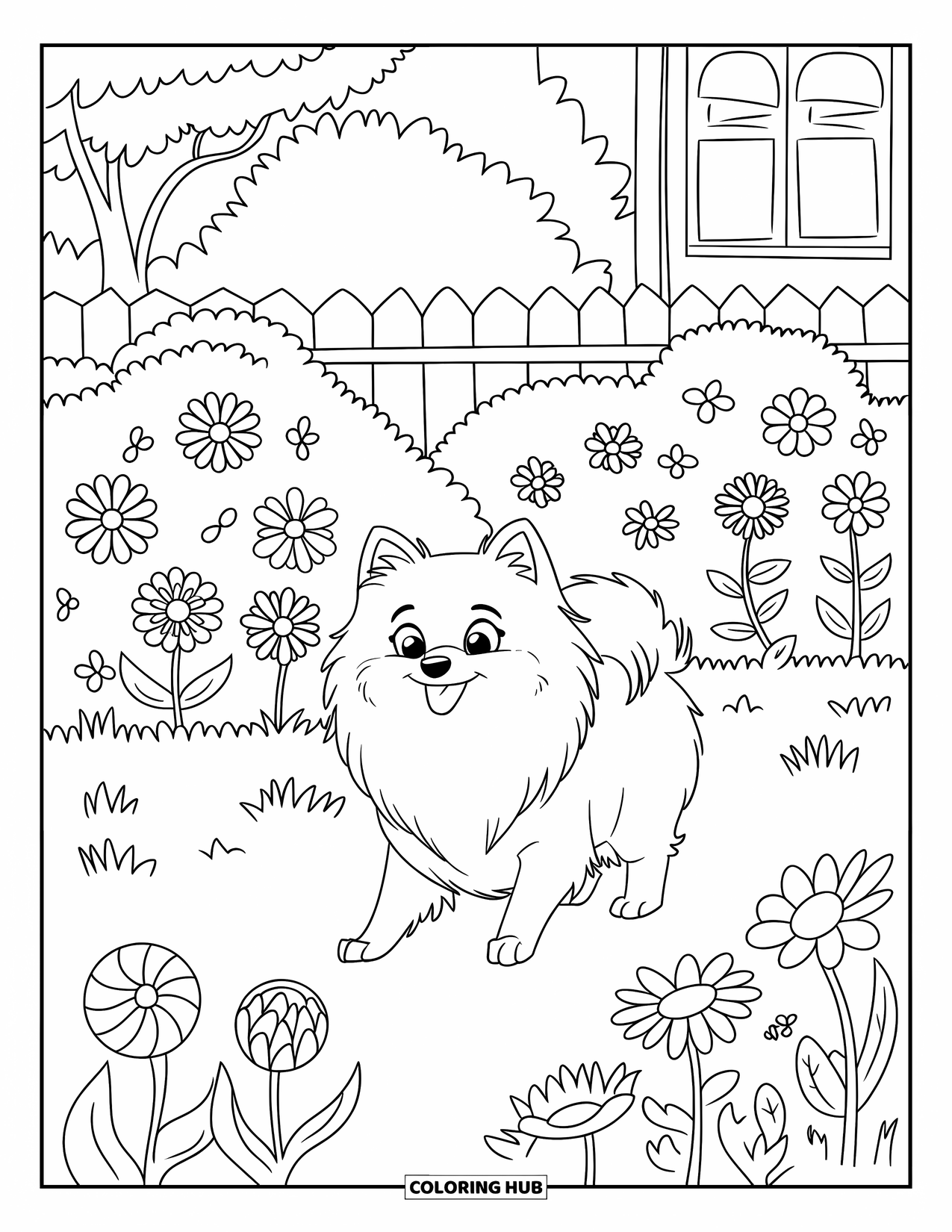 Pomeranian Coloring Page for Kids: Pomeranian walks through a flower-filled garden with a white fence nearby