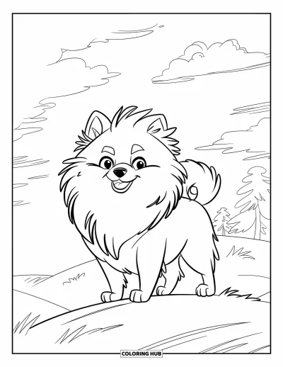 Coloriage de poméranien pour enfants : Un Poméranien fier aux poils soulevés par le vent se tient droit sur une colline