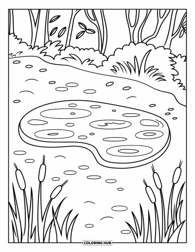 Coloriage d'étang pour enfants : Un sentier tranquille mène à un étang en forme de haricot avec des massettes et des arbres feuillus