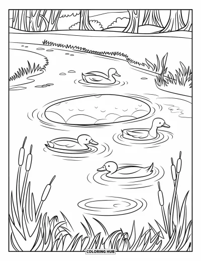 Coloriage d'étang pour enfants : Des canards nagent dans un étang ondulant en forme de haricot avec une vue apaisante