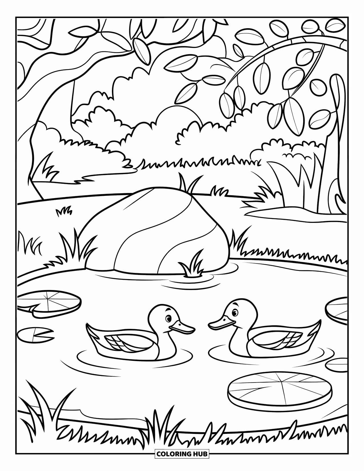 Pond Coloring Page for Kids: Two ducks swim in a grassy pond with a big rock and a single lily pad