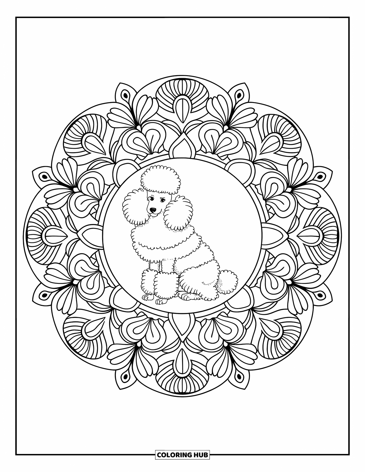 Poodle Coloring Page for Adults: A calm poodle is centered in a floral mandala filled with elegant patterns