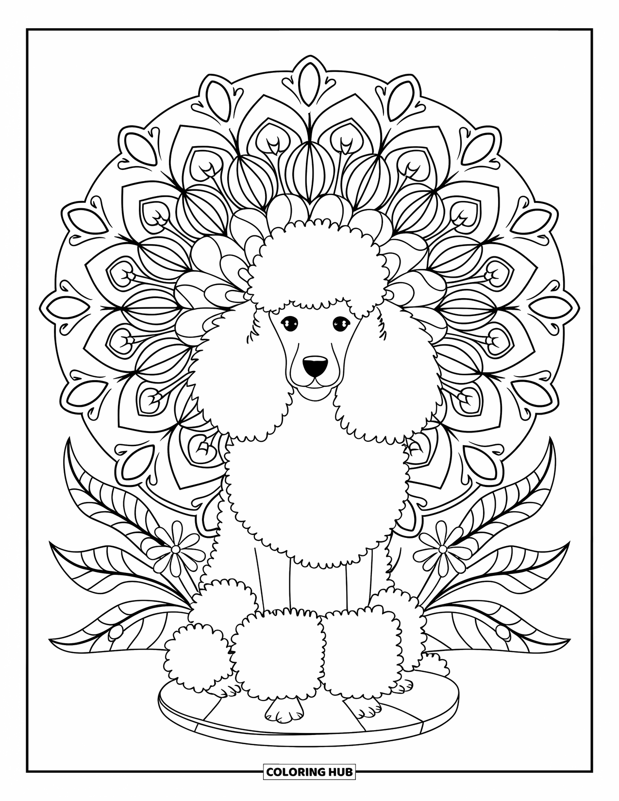 Poodle Coloring Page for Adults: A peaceful poodle rests on a stone base surrounded by floral mandala details