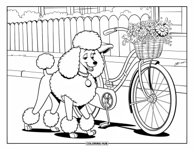 Desen de colorat cu pudeli pentru copii: Un pudel pufos se plimbă lângă o bicicletă vintage lângă un gard și o casă primitoare