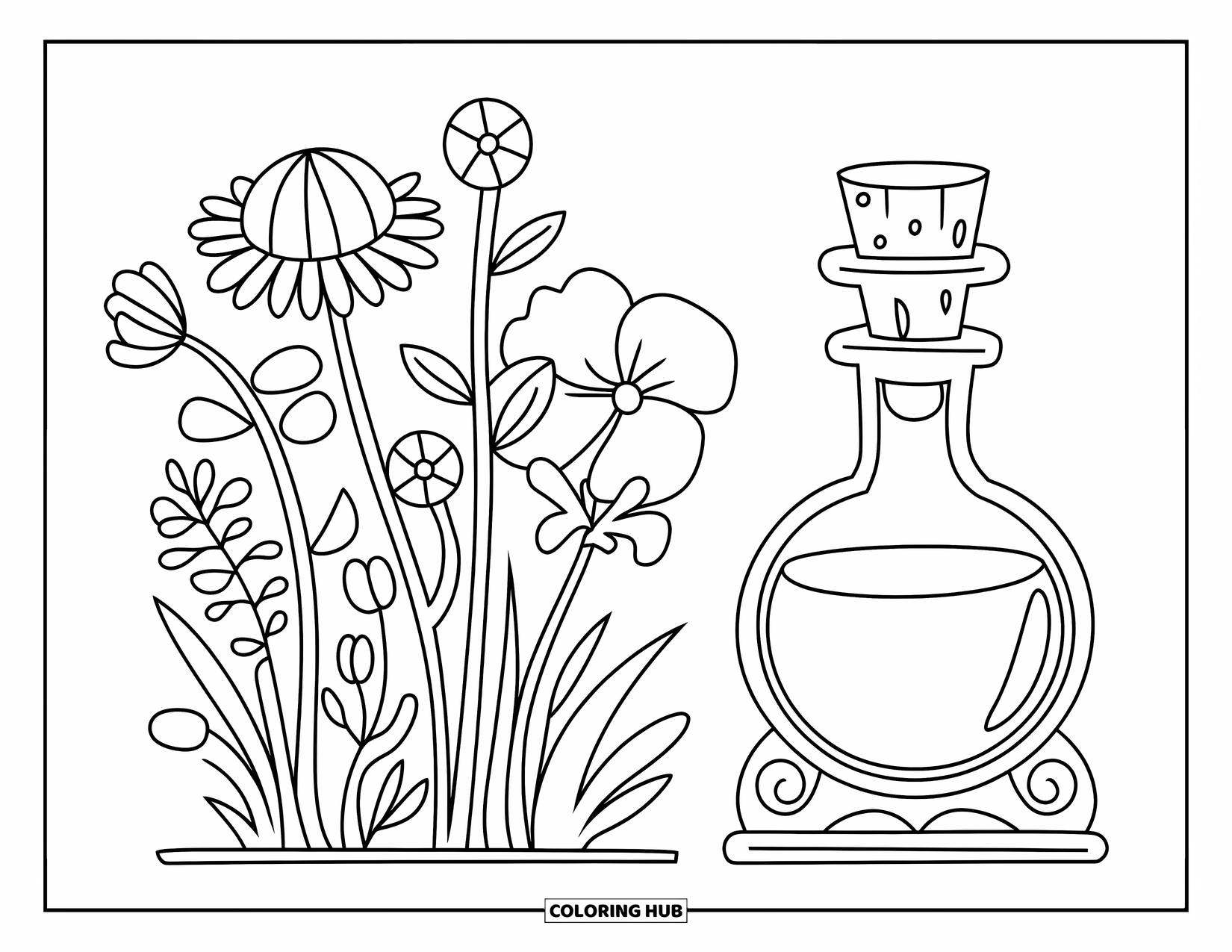 Potion Coloring Page for Kids: Bundle of wildflowers beside a corked potion bottle resting in a rack