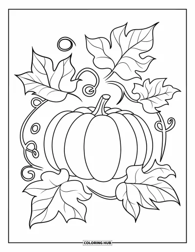 Coloriage de champs de citrouilles pour enfants : Une citrouille avec sa tige repose parmi de grandes feuilles ondulées et des vrilles