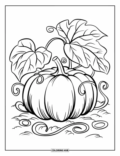 Coloriage de champs de citrouilles pour enfants : Une citrouille ronde avec des lianes tourbillonnantes et de grandes feuilles tout autour