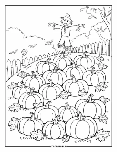 Coloriage de champs de citrouilles pour enfants : Un épouvantail au sommet d'une colline couverte de citrouilles avec des feuilles qui volent