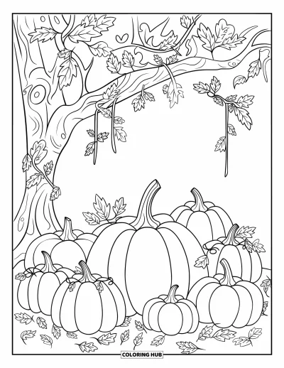 Coloriage de champs de citrouilles pour enfants : Un arbre aux lianes tortueuses ombrage un coin rustique rempli de citrouilles