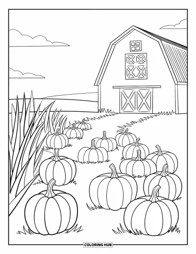 Coloriage de champs de citrouilles pour enfants : Un chemin sinueux de citrouilles mène à une grange sous un ciel lumineux