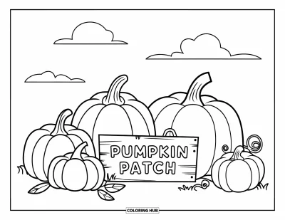 Coloriage de champs de citrouilles pour enfants : Cinq citrouilles avec des lianes et un panneau "Pumpkin Patch" dans un champs