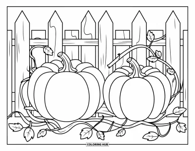 Coloriage de champs de citrouilles pour enfants : De grandes citrouilles poussent sur des lianes dans un enclos en bois bien rangé